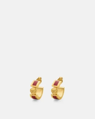 Boucles d&rsquo;oreilles Icon
