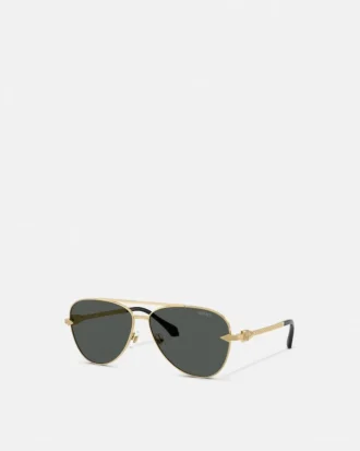 Lunettes de soleil Avanti Pilot