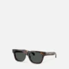 Lunettes de soleil carrées emblématiques Lunettes de soleil carrées emblématiques