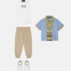Chemise à rayures imprimées en popeline de coton pour enfants Chemise à rayures imprimées en popeline de coton pour enfants